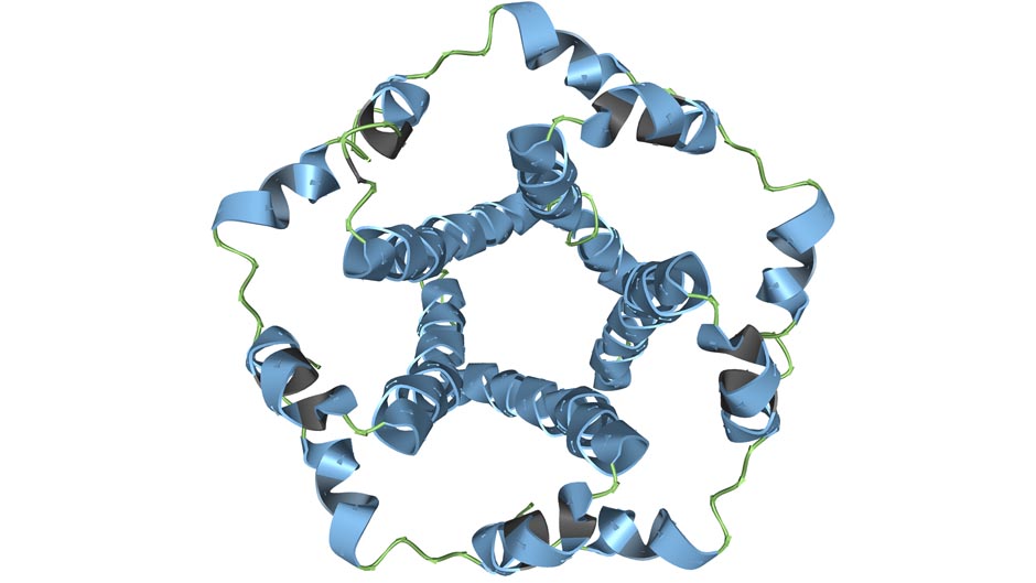 Mit Hochdurchsatz-Maschinenlernen den Covid-19-Proteinen auf der Spur